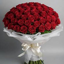 Букет 101 Красная роза Блэк Мэджик #REPLACE_PRED# Тоннельном