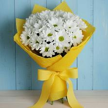 Букет цветов из:  Хризантемы в Тоннельном