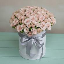 Цветочная композиция из Розы в шляпной коробке #REPLACE_PRED# Тоннельном