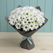 Букет цветов из:  Хризантемы #REPLACE_PRED# Тоннельном