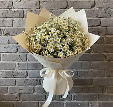 Букет цветов из:  Ромашки #REPLACE_PRED# Тоннельном