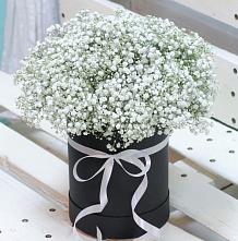 Цветочная композиция из Гипсофила в шляпной коробке #REPLACE_PRED# Тоннельном