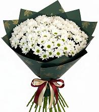 Букет цветов из:  Хризантемы в Тоннельном