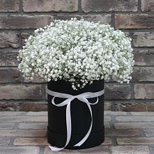 Цветочная композиция из Гипсофила в шляпной коробке #REPLACE_PRED# Тоннельном