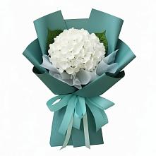 Букет цветов из:  Гортензия в Тоннельном